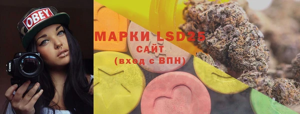 гидра Белоозёрский