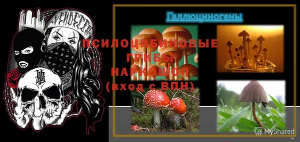 дмт Богородск